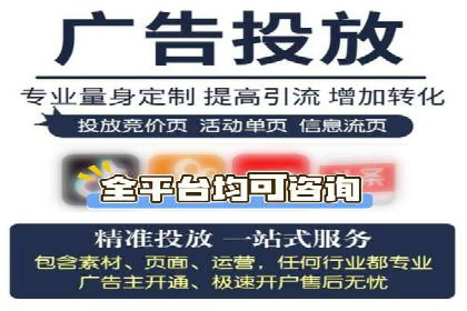 成功SEM竞价托管案例分析报告
